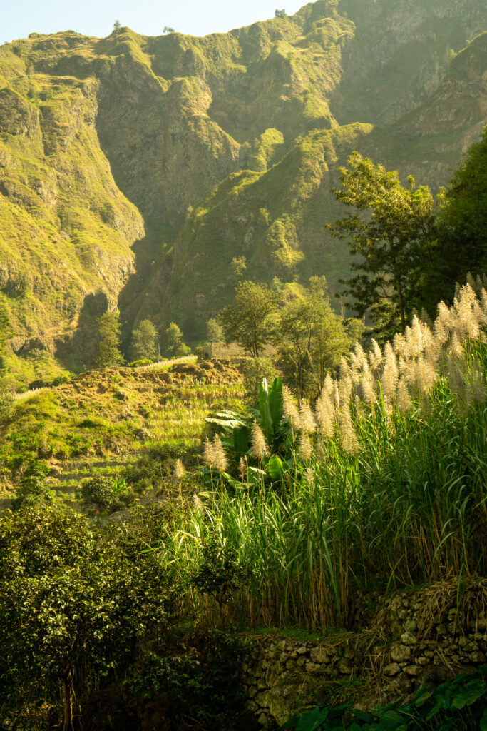Photo nature au coeur de la vallée de Paul au Cap Vert