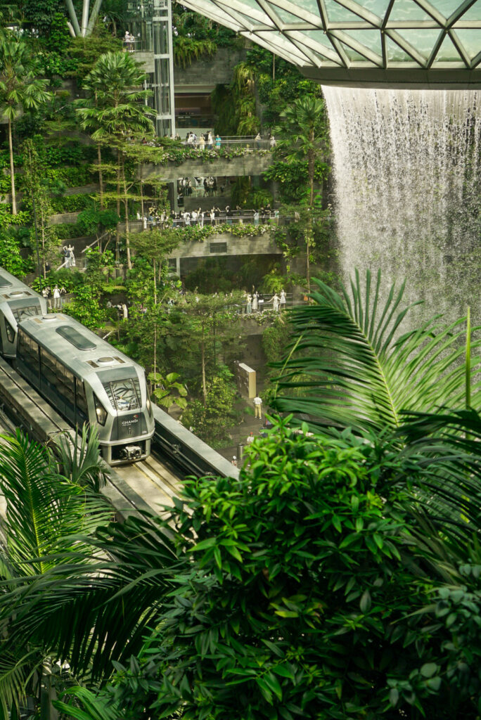 Photographie de la flore au sein de l'aéroport de Singapour